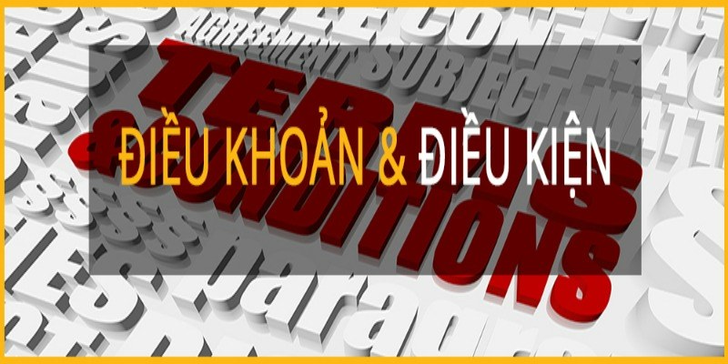 dieu khoan dieu kien lulu88 lien quan den tai khoan